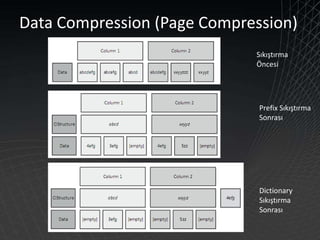 Sql Server2008 For Developers By Tarik