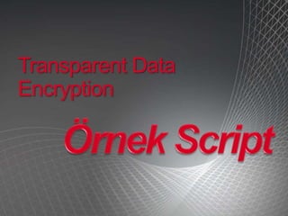 Sql Server2008 For Developers By Tarik