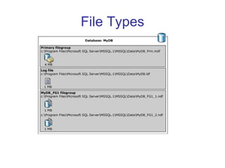 File Types 