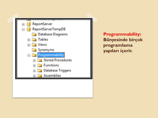 Programmability:
Bünyesinde birçok
programlama
yapıları içerir.
 