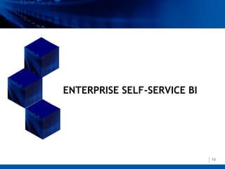 ENTERPRISE SELF-SERVICE BI




                             13
 