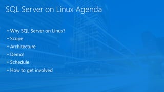 SQL Server on Linux Agenda
• Why SQL Server on Linux?
• Scope
• Architecture
• Demo!
• Schedule
• How to get involved
 