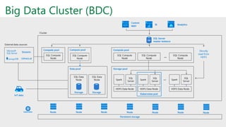 Big Data Cluster (BDC)
 