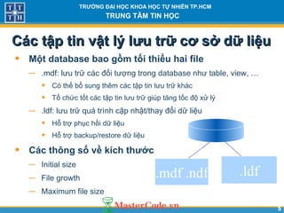 55
TRƯỜNG ĐẠI HỌC KHOA HỌC TỰ NHIÊN TP.HCM
TRUNG TÂM TIN HỌC
• Một database bao gồm tối thiểu hai file
− .mdf: lưu trữ các đối tượng trong database như table, view, …
• Có thể bổ sung thêm các tập tin lưu trữ khác
• Tổ chức tốt các tập tin lưu trữ giúp tăng tốc độ xử lý
− .ldf: lưu trữ quá trình cập nhật/thay đổi dữ liệu
• Hỗ trợ phục hồi dữ liệu
• Hỗ trợ backup/restore dữ liệu
• Các thông số về kích thước
− Initial size
− File growth
− Maximum file size
Các tập tin vật lý lưu trữ cơ sở dữ liệuCác tập tin vật lý lưu trữ cơ sở dữ liệu
.mdf .ndf .ldf
 