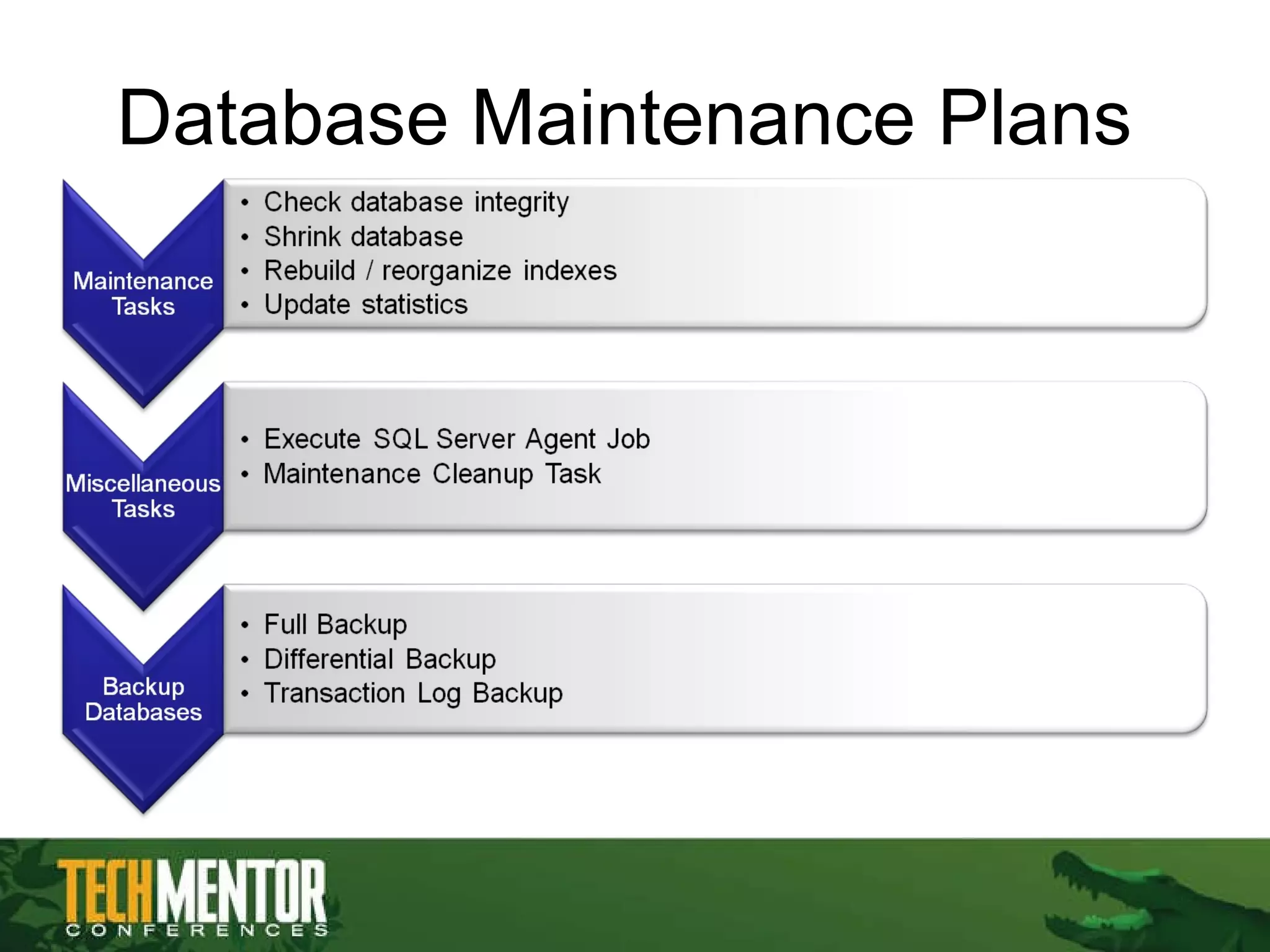 Database Maintenance Plans  