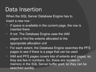 Sql Server Basics | PPT | Databases | Computer Software and Applications