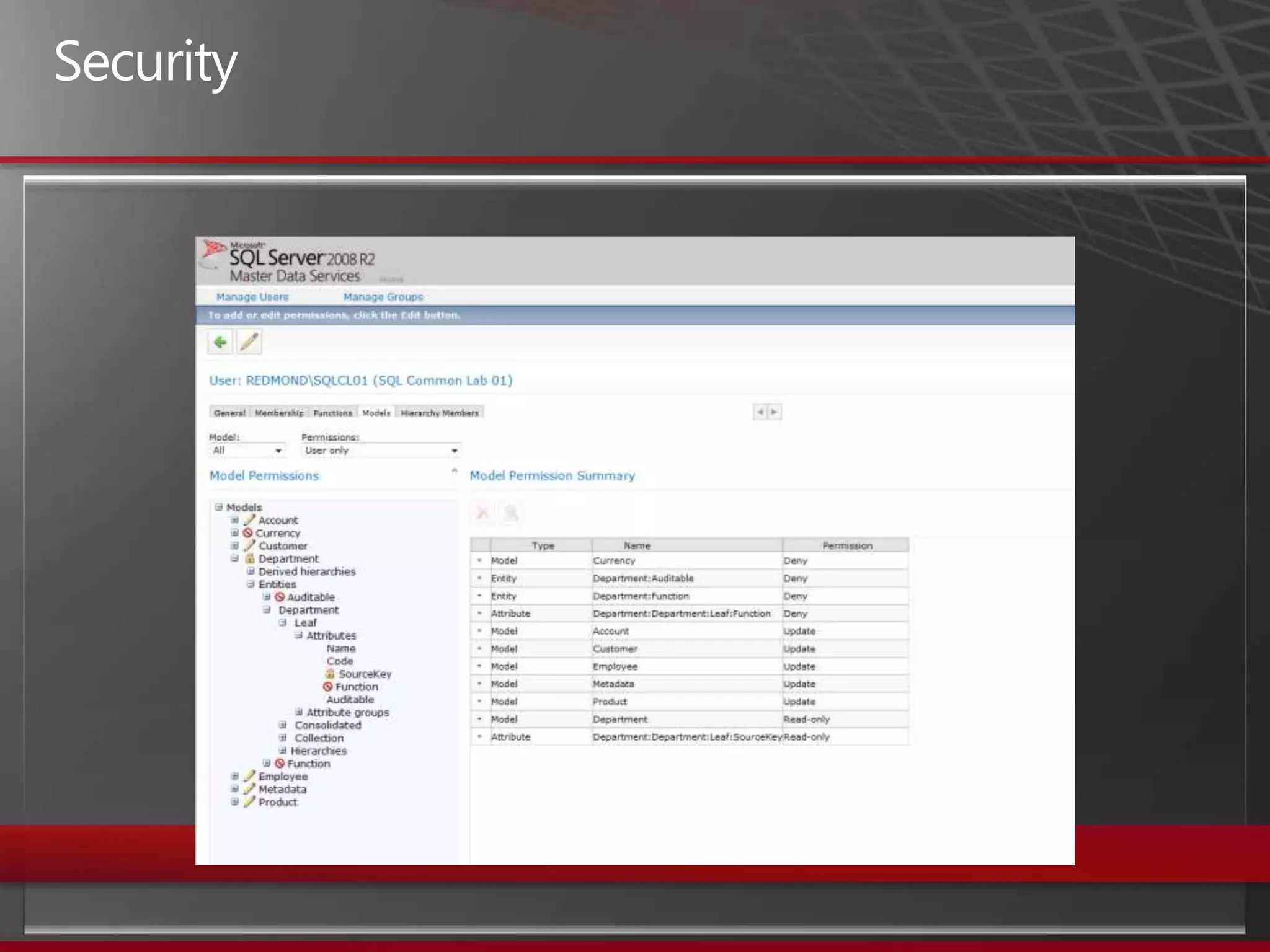 Master Data ManagementMicrosoft SQL Server MDS
