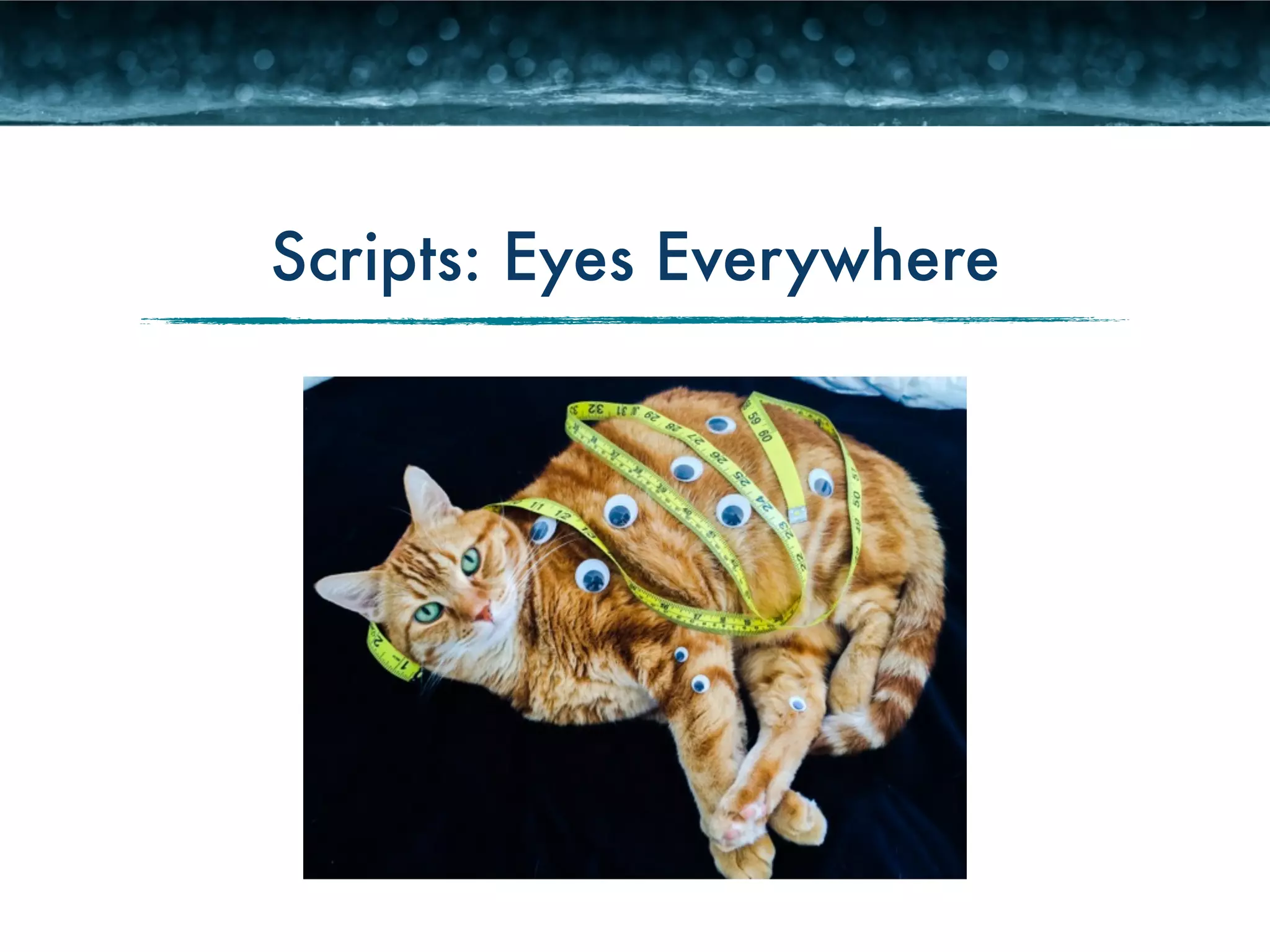 Scripts: Eyes Everywhere 
 