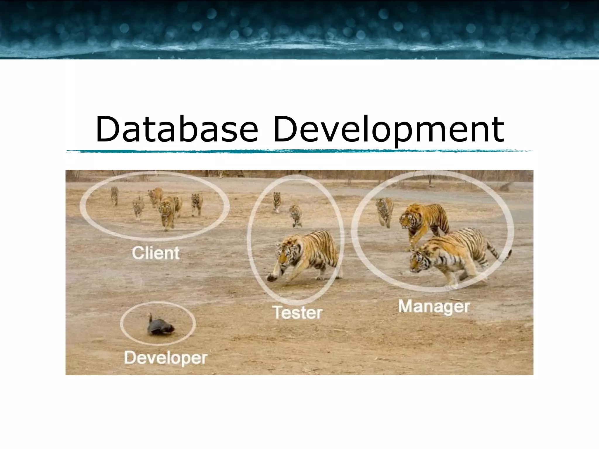 Database Development 
 
