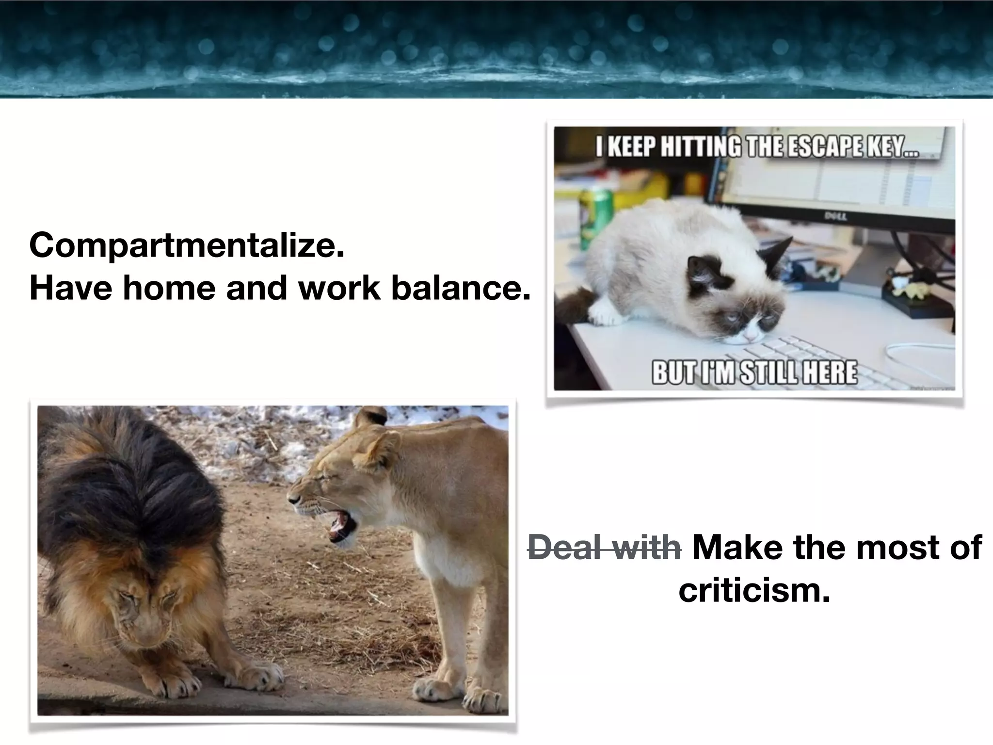 Deal with Make the most of 
criticism. 
Compartmentalize. 
Have home and work balance. 
 