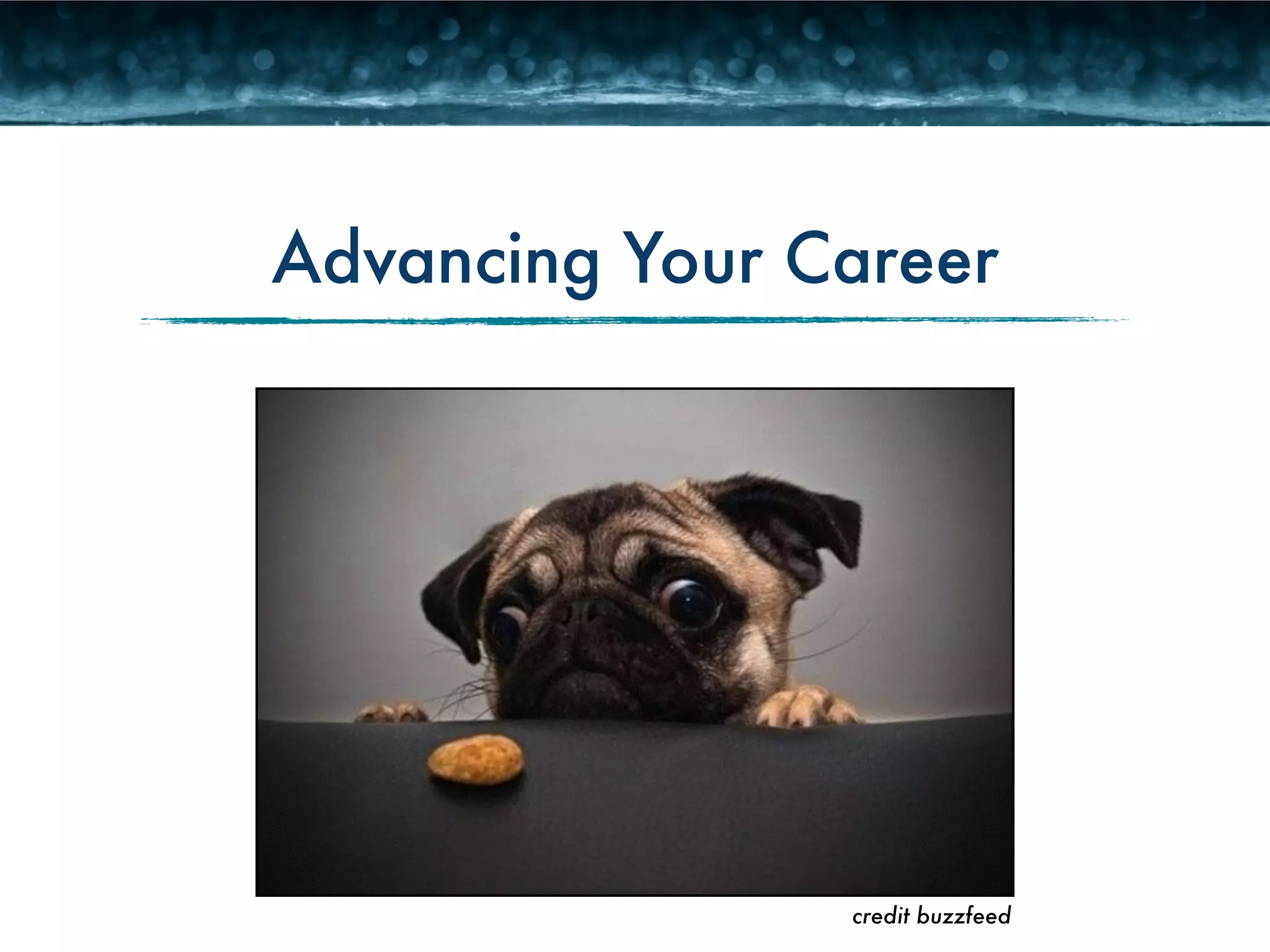 Advancing Your Career 
credit buzzfeed 
 