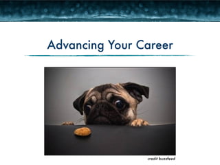 Advancing Your Career 
credit buzzfeed 
 