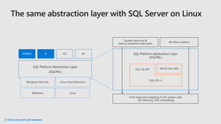 SQL Platform Abstraction Layer
(SQLPAL)
RDBMS IS AS RS
Windows Linux
Windows Host Ext. Linux Host Extension
SQL Platform Abstraction Layer
(SQLPAL)
Host extension mapping to OS system calls
(IO, Memory, CPU scheduling)
Win32-like APIs
SQL OS API
SQL OS v2
All other systems
System resource &
latency sensitive code paths
Choice across OS and containers
 
