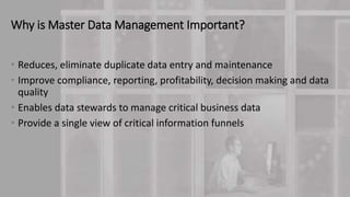 Sql server master data services | PPTX