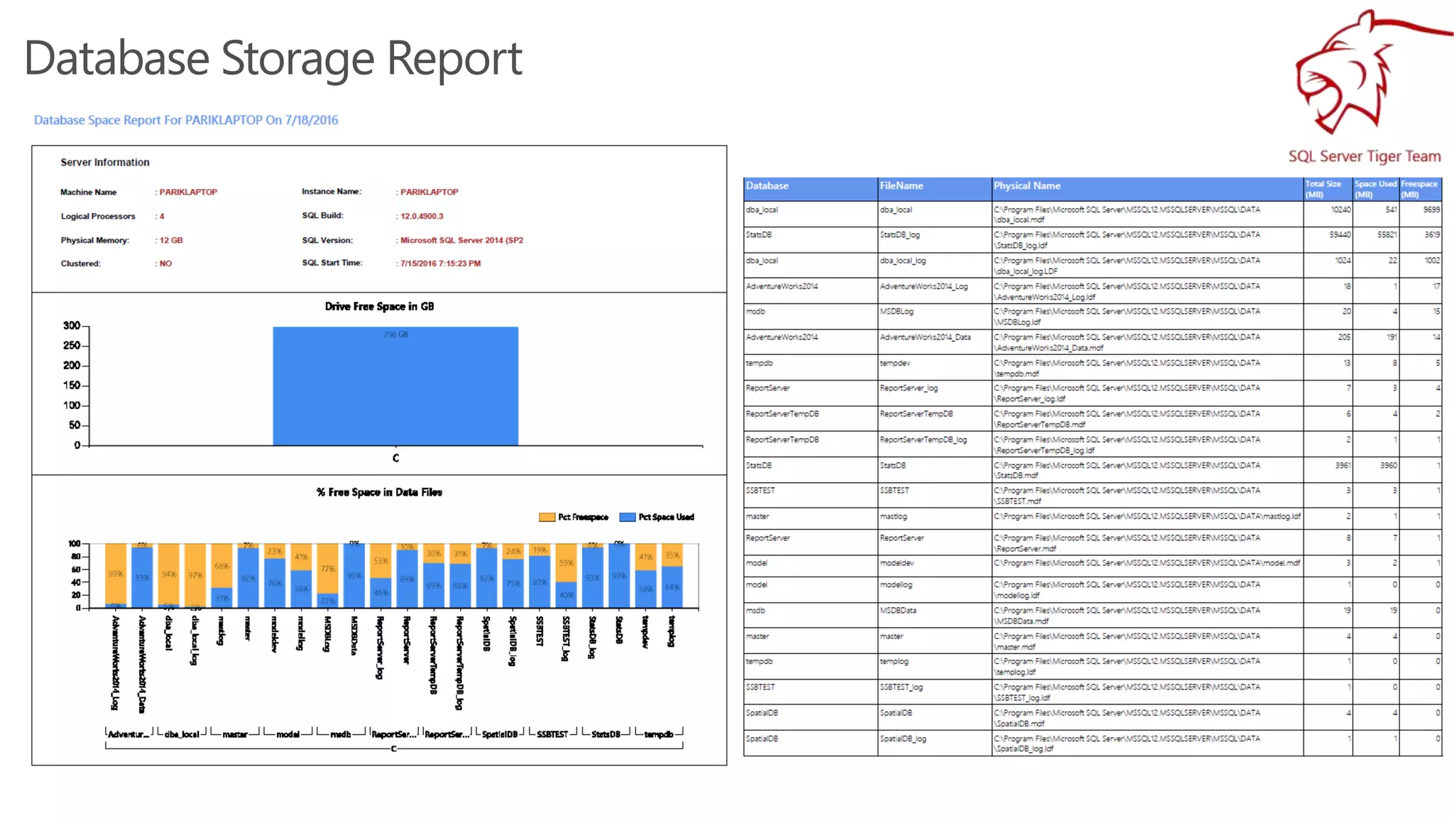 Database Storage Report
 