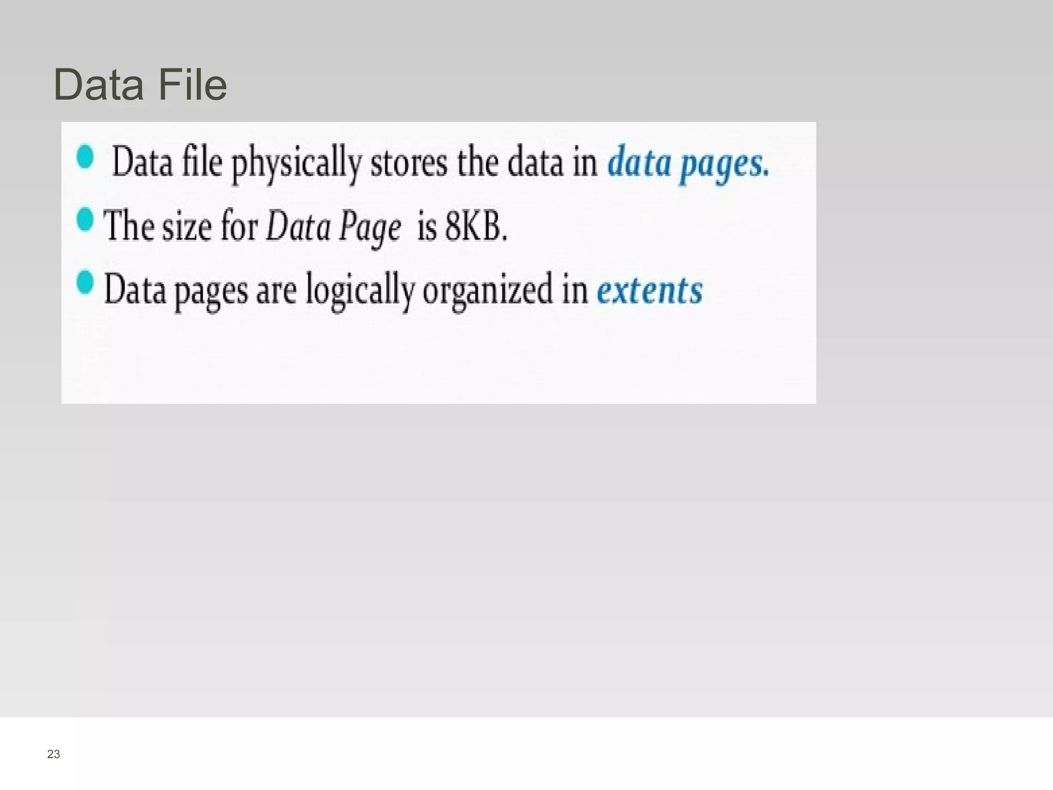 23
Data File
 