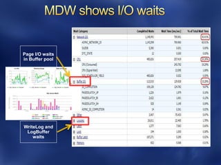 Page I/O waits
in Buffer pool




WriteLog and
 LogBuffer
    waits
 