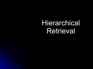 Hierarchical Retrieval 
