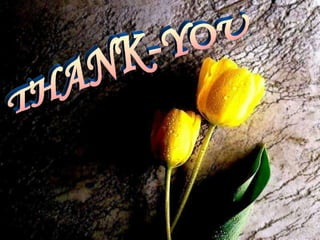 THANK-YOU THANK-YOU 