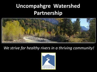Uncompahgre Watershed
Partnership
We strive for healthy rivers in a thriving community!
 