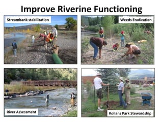 Streambank stabilization Weeds Eradication
Improve Riverine Functioning
River Assessment Rollans Park Stewardship
 