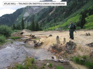 ATLAS MILL – TAILINGS ON SNEFFELS CREEK STREAMBANK
 