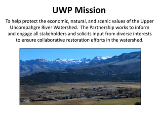 UWP Mission
To help protect the economic, natural, and scenic values of the Upper
Uncompahgre River Watershed. The Partnership works to inform
and engage all stakeholders and solicits input from diverse interests
to ensure collaborative restoration efforts in the watershed.
 