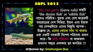 প্রশ্know by: Snehanjan Das
SQPL 2023
The red garra (Garra rufa) োেটট
'the doctor fish' or 'nibble fish'
ন্োশ্ন ও পটরটেি। িু রস্ক এেং মেে কশ্ন়াকটট
ধ্যপ্রোশ্নেযর মদে টসটর়াো, ইরোন্ এেং ইরোক
সহ্ মদেগুটিশ্নি এশ্নদর টেস্তৃটি েযোপক।
উশ্নেখ্য ময, এশ্নদর মকোশ্নন্ো দোঁি ন্ো থোকো়া
এরো একটট দরকোর়ী টেশ্নেষ পটরশ্নষেো প্রদোন্
কশ্নর। টক মসই পটরশ্নষেো যো আজকোি
প্রধ্োন্ি েহুশ্নর এিোকো়া খ্ুে জন্টপ্র়া ??
 