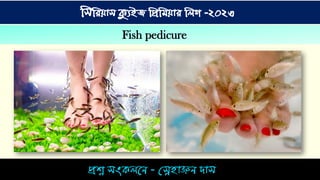িশ্ন িংকিনে - স্নেহ়াঞ্জে দ়াি
সিসিয়াি ক্যুইজ সিসিয়াি সিগ -২০২৩
Fish pedicure
 