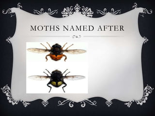 MOTHS NAMED AFTER
 