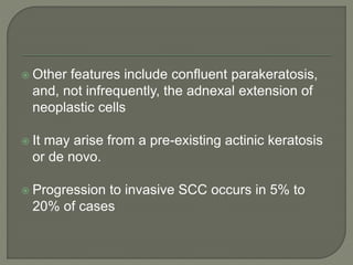  Other features include confluent parakeratosis,
and, not infrequently, the adnexal extension of
neoplastic cells
 It may arise from a pre-existing actinic keratosis
or de novo.
 Progression to invasive SCC occurs in 5% to
20% of cases
 