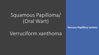Squamous Papilloma/
(Oral Wart)
Verruciform xanthoma
Verruca-Papillary Lesions
 