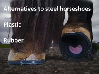 Alternatives to steel horseshoes
Plastic
Rubber
 