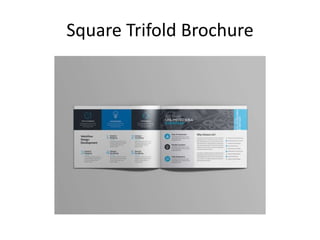 Square Trifold Brochure
 