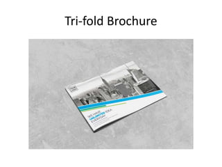 Tri-fold Brochure
 