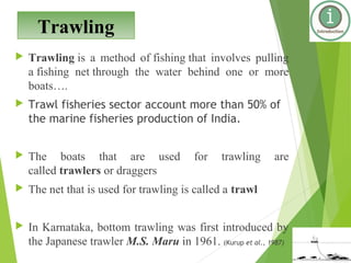 Square codend mesh | PPT | Fishing Sports | Sports