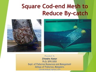 Square Cod-end Mesh to
Reduce By-catch
 