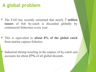 A global problem
 The FAO has recently estimated that nearly 7 million
tonnes of fish by-catch is discarded globally by
commercial fishermen every year.
 This is equivalent to about 8% of the global catch
from marine capture fisheries.
 Industrial shrimp trawling in the capture of by-catch and
accounts for about 27% of all global discards.
 