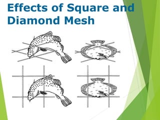Effects of Square and
Diamond Mesh
 
