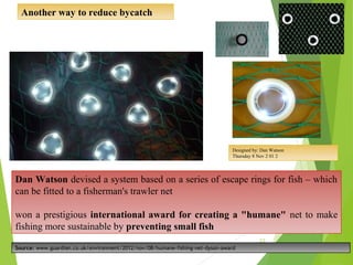 Dan Watson devised a system based on a series of escape rings for fish – which
can be fitted to a fisherman's trawler net
won a prestigious international award for creating a "humane" net to make
fishing more sustainable by preventing small fish
Designed by: Dan Watson
Thursday 8 Nov 2 01 2
Source: www.guardian.co.uk/environment/2012/nov/08/humane-fishing-net-dyson-award
23
Another way to reduce bycatch
 