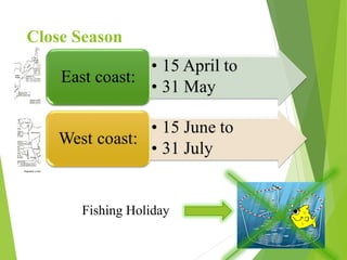 Close Season
26
Fishing Holiday
 