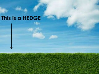 This is a HEDGE 