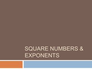 SQUARE NUMBERS &
EXPONENTS
 