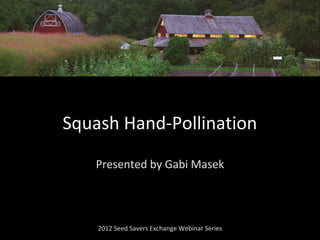 Presented by Gabi Masek
2012 Seed Savers Exchange Webinar Series
Squash Hand-Pollination
 
