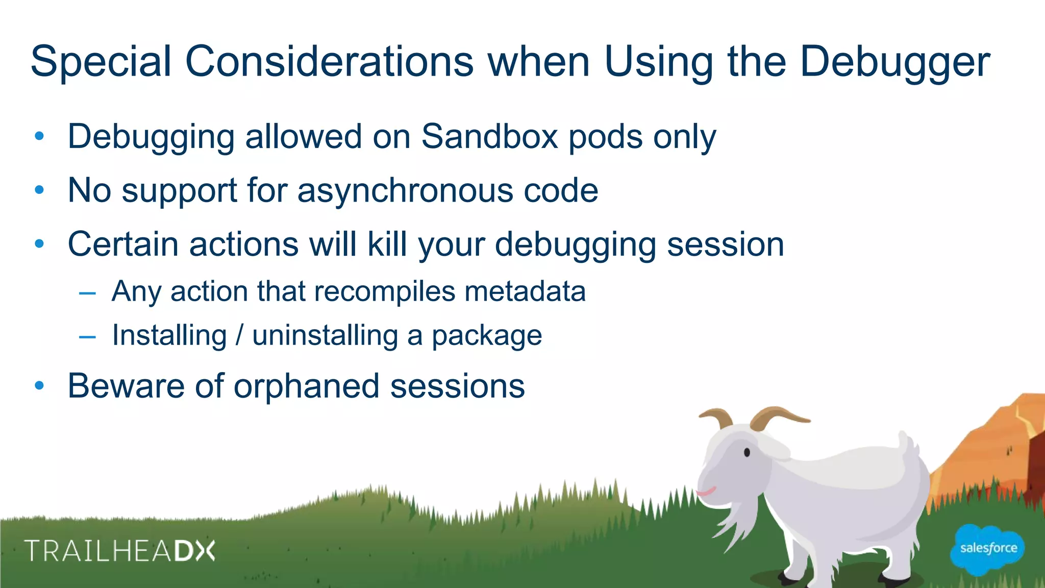 Special Considerations and
the Debugger Roadmap
 