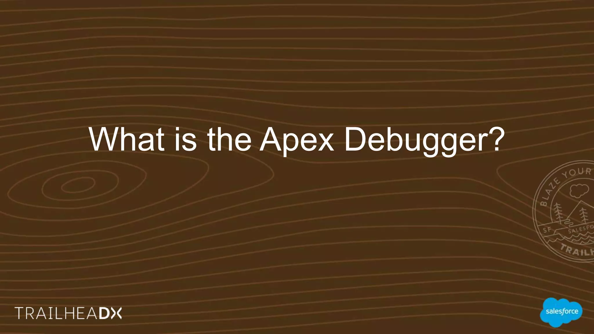 What is the Apex Debugger?
 