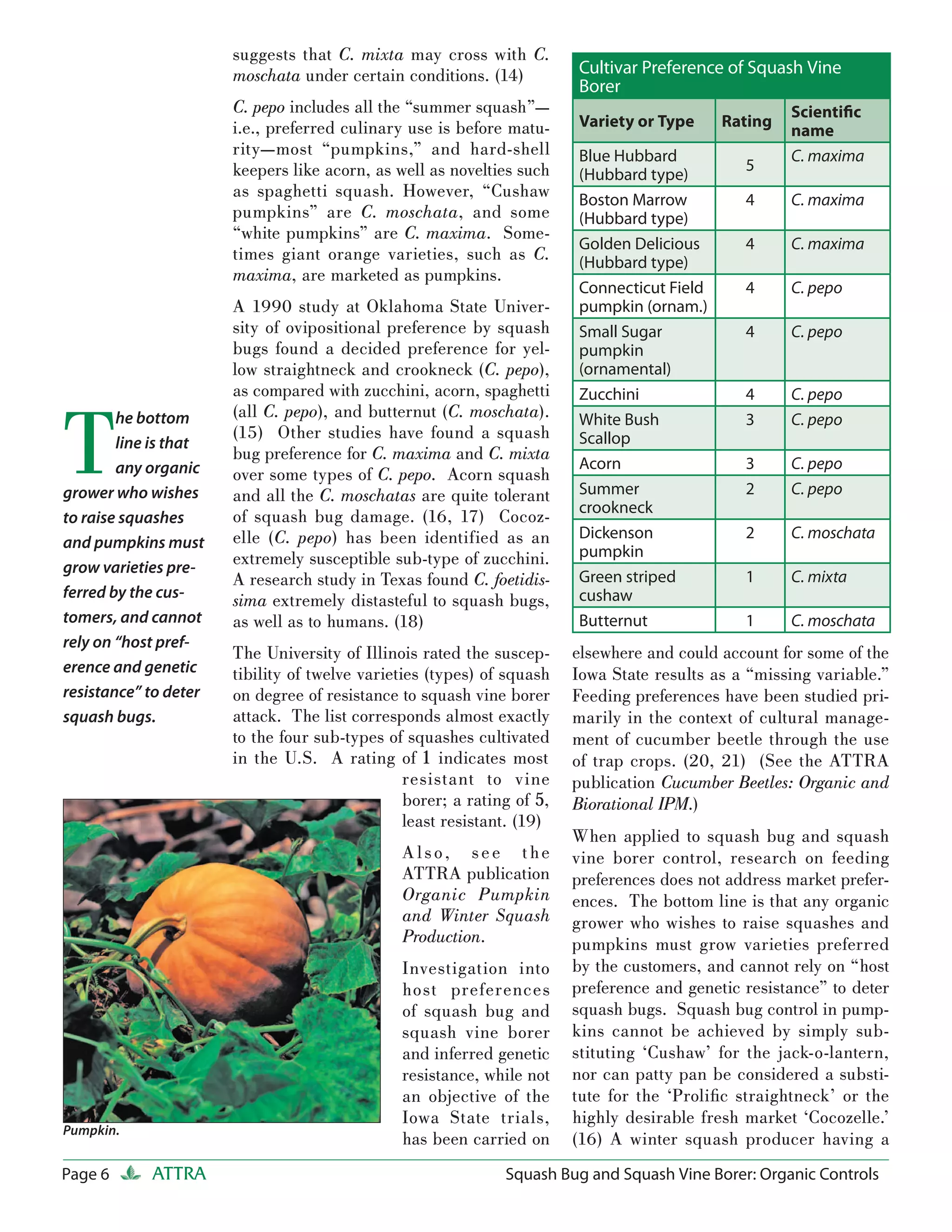 suggests that C. mixta may cross with C.
                       moschata under certain conditions. (14)           Cultivar Preference of Squash Vine
                                                                         Borer
                       C. pepo includes all the “summer squash”—                                      Scientiﬁc
                       i.e., preferred culinary use is before matu-      Variety or Type     Rating
                                                                                                      name
                       rity—most “pumpkins,” and hard-shell              Blue Hubbard                 C. maxima
                       keepers like acorn, as well as novelties such                            5
                                                                         (Hubbard type)
                       as spaghetti squash. However, “Cushaw             Boston Marrow          4     C. maxima
                       pumpkins” are C. moschata, and some               (Hubbard type)
                       “white pumpkins” are C. maxima. Some-
                                                                         Golden Delicious       4     C. maxima
                       times giant orange varieties, such as C.          (Hubbard type)
                       maxima, are marketed as pumpkins.
                                                                         Connecticut Field      4     C. pepo
                       A 1990 study at Oklahoma State Univer-            pumpkin (ornam.)
                       sity of ovipositional preference by squash        Small Sugar            4     C. pepo
                       bugs found a decided preference for yel-          pumpkin
                       low straightneck and crookneck (C. pepo),         (ornamental)
                       as compared with zucchini, acorn, spaghetti       Zucchini               4     C. pepo



T
        he bottom      (all C. pepo), and butternut (C. moschata).       White Bush             3     C. pepo
                       (15) Other studies have found a squash            Scallop
        line is that
                       bug preference for C. maxima and C. mixta
        any organic                                                      Acorn                  3     C. pepo
                       over some types of C. pepo. Acorn squash
grower who wishes      and all the C. moschatas are quite tolerant       Summer                 2     C. pepo
                                                                         crookneck
to raise squashes      of squash bug damage. (16, 17) Cocoz-
                       elle (C. pepo) has been identified as an          Dickenson              2     C. moschata
and pumpkins must
                       extremely susceptible sub-type of zucchini.       pumpkin
grow varieties pre-
                       A research study in Texas found C. foetidis-      Green striped          1     C. mixta
ferred by the cus-     sima extremely distasteful to squash bugs,        cushaw
tomers, and cannot     as well as to humans. (18)                        Butternut              1     C. moschata
rely on “host pref-
                       The University of Illinois rated the suscep-      elsewhere and could account for some of the
erence and genetic     tibility of twelve varieties (types) of squash    Iowa State results as a “missing variable.”
resistance” to deter   on degree of resistance to squash vine borer      Feeding preferences have been studied pri-
squash bugs.           attack. The list corresponds almost exactly       marily in the context of cultural manage-
                       to the four sub-types of squashes cultivated      ment of cucumber beetle through the use
                       in the U.S. A rating of 1 indicates most          of trap crops. (20, 21) (See the ATTRA
                                                 resistant to vine       publication Cucumber Beetles: Organic and
                                                 borer; a rating of 5,   Biorational IPM.)
                                                 least resistant. (19)
                                                                         When applied to squash bug and squash
                                                A l so, see the          vine borer control, research on feeding
                                                ATTRA publication        preferences does not address market prefer-
                                                Organic Pumpkin          ences. The bottom line is that any organic
                                                and Winter Squash        grower who wishes to raise squashes and
                                                Production.              pumpkins must grow varieties preferred
                                                Investigation into       by the customers, and cannot rely on “host
                                                host preferences         preference and genetic resistance” to deter
                                                of squash bug and        squash bugs. Squash bug control in pump-
                                                squash vine borer        kins cannot be achieved by simply sub-
                                                and inferred genetic     stituting ‘Cushaw’ for the jack-o-lantern,
                                                resistance, while not    nor can patty pan be considered a substi-
                                                an objective of the      tute for the ‘Proliﬁc straightneck’ or the
                                                Iowa State trials,       highly desirable fresh market ‘Cocozelle.’
Pumpkin.
                                                has been carried on      (16) A winter squash producer having a
Page 6      ATTRA                                              Squash Bug and Squash Vine Borer: Organic Controls
 