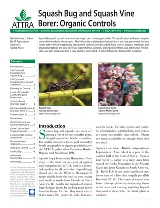 Squash Bug and Squash Vine
  ATTRA Borer: Organic Controls
   A Publication of ATTRA - National Sustainable Agriculture Information Service • 1-800-346-9140 • www.attra.ncat.org

By Katherine L. Adam                       Squash bug and squash vine borer are major pests among cucurbits. This publication addresses organic
NCAT Agriculture                           control methods for these pests. The life cycles and characteristics of each pest are presented. Various
Specialist                                 levels and types of organically sanctioned controls are discussed. Row covers, cultural methods, and
©2006 NCAT                                 physical practices are also covered. Experimental controls, biological controls, and alternative insecti-
                                           cides are also discussed and a case study is presented. A list of references follows the narrative.



Contents
Introduction ..................... 1
Life Cycle and
Characteristics:
Squash Bug....................... 2
Life Cycle and
Characteristics: Squash
Vine Borer ......................... 2
Planning for Control ..... 2
Levels of Control in
Certiﬁed Organic
Production ........................ 3
Systems-based
practices (level 1)............ 3
Mechanical and physical                    Squash bug.                                             Squash vine borer.
practices (level 2) ........... 3          ©Bruce Marlin 2003                                      ©Bruce Marlin 2004.
Material (level 3) ............. 4         http://cirrusimage.com                                  http://cirrusimage.com

Row Covers ...................... 5
Host Preference and
Genetic Resistance ....... 5
                                           Introduction                                          and die back. Certain species and variet-


                                           S
Other Cultural and
Physical Controls ............ 7                 quash bug and squash vine borer are             ies of pumpkins, watermelons, and squash
Experimental, creative                           among a trio of serious cucurbit pests.         are more susceptible than others. Plants
approaches .................... 8                Striped cucumber beetle is another.             are most susceptible to damage when they
Recommended                                For control measures for striped cucumber
strategies ........................... 8
                                                                                                 are small.
                                           beetle on squashes in organic production, see
Biological Control ......... 9
                                           the ATTRA publication Cucumber Beetles:               Squash vine borer (Melittia satyriniformis
Kaolin Clay ...................... 10
                                           Organic and Biorational IPM.                          Lepidoptera: Ageiriidae) is a pest in the
Alternative                                                                                      eastern half of the United States. Squash
Insecticides .................... 10       Squash bug (Anasa tristis Hemiptera: Core-            vine borer is native to a large area from
References ...................... 10       idae) is the most serious pest of squash
                                                                                                 east of the Rocky Mountains to the Atlantic
                                           and pumpkins in the U.S. and is a poten-
ATTRA—National Sustainable                                                                       Coast and from Canada to South America.
Agriculture Information Service            tial problem for all cucurbits. Squash bugs
is managed by the National Cen-
                                           (found only in the Western Hemisphere)                (2) In the U.S. it can cause signiﬁcant crop
ter for Appropriate Technology
(NCAT) and is funded under a               range widely from the east to west coasts             losses east of a line that roughly parallels
grant from the United States
                                           and north to south from Canada to South               Interstate 35. (3) The larvae of squash vine
Department of Agriculture’s
Rural Business-Cooperative Ser-            America. (1) Adults and nymphs of squash              borer damage plants by destroying tissue
vice. Visit the NCAT Web site
(www.ncat.org/agri.                        bugs damage plants by sucking plant juices            in the stem and causing anything beyond
html) for more informa-                    from the leaves. Further, they inject a toxin         that point to die—either the whole plant or
tion on our sustainable
agriculture projects. ����                 that causes the plants to wilt, blacken,              a runner.
 