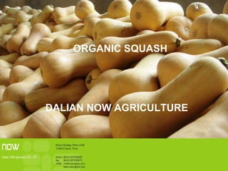 DALIAN NOW AGRICULTURE ORGANIC SQUASH 