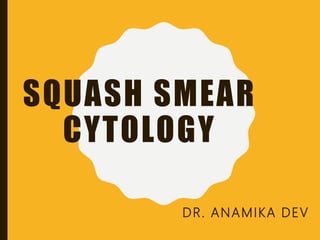 SQUASH SMEAR
CYTOLOGY
DR. ANAMIKA DEV
 
